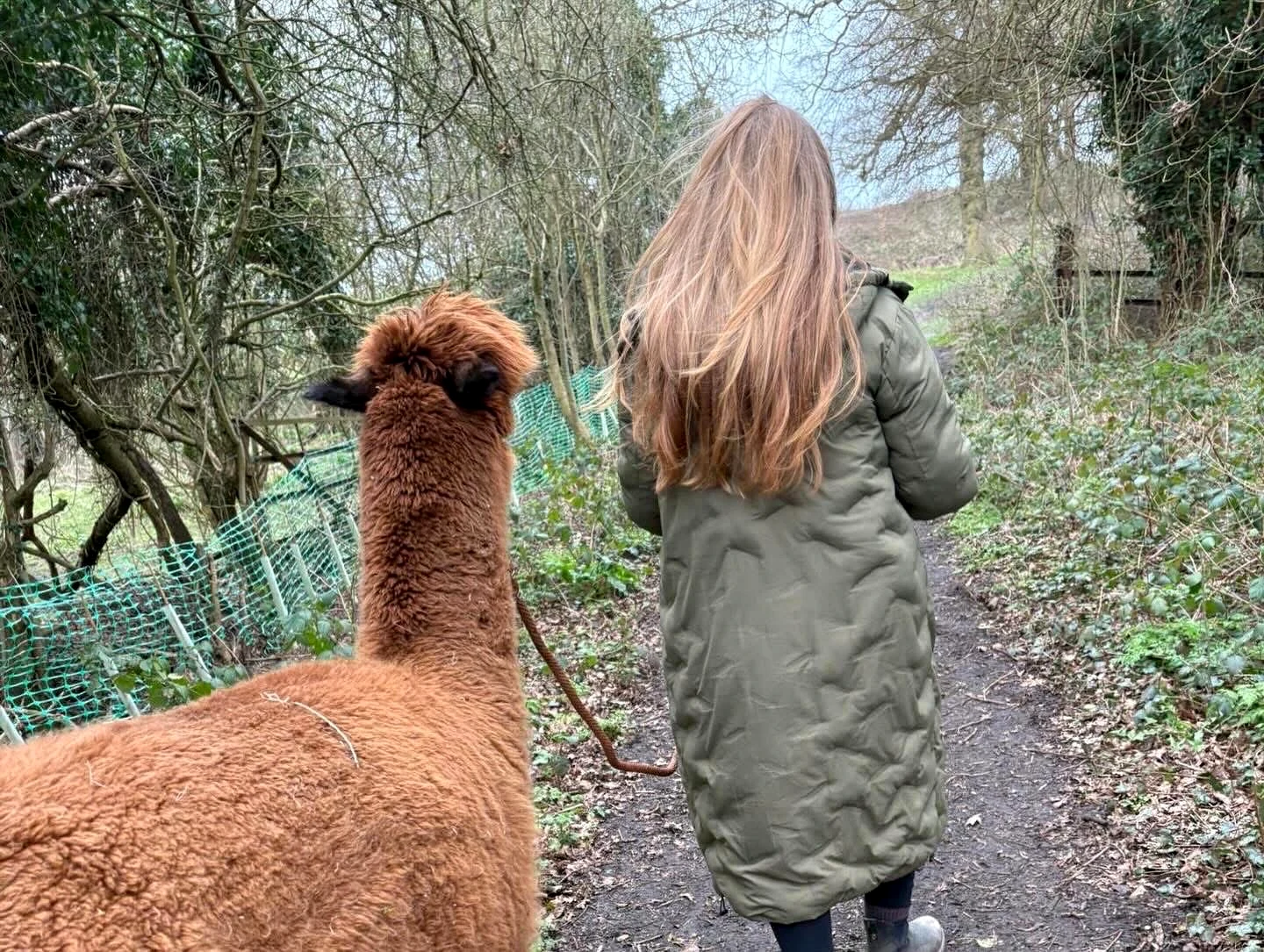 Emma walking with an alpaca outdoors